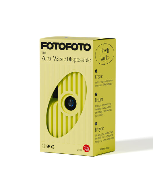 Daffodil (12-Pk)